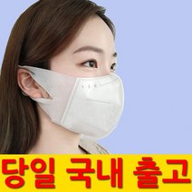 국내 여름 마스크 3D 입체형 덴탈 치과 1회용 일회용 3중 3겹 필터 아동용 성인용 멜트 블로운, 1개