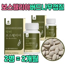 프리미엄 초록입홍합 보스웰리아 먹는 법 보스윌니아 에좋은 간편한 보수엘리아 녹색입홍합 성인 어른 삼키는 프락토올리고당 히알루론산 비타민B C 알갱이 차 물 할머니 생신 선물