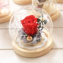 장미 꽃 LED 무드등 레드 인테리어 조명 집들이 선물 선물 화이트데이선물 발렌타인데이선물 화이트데이 선 (집들이 생일 기념일 생신 발렌타인데이 화이트데이 어버이날 선물 유리돔 LED), 단품