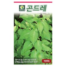 곤드레(고려엉겅퀴)씨앗 100립