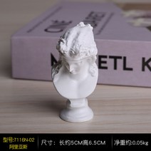 해외 미니 석고 모델 조각상 사무실 학교 장식품 T54688, 2번