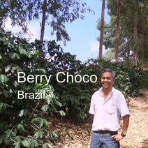 [커피생두] 브라질 베리초코 5kg/ Brazil Berry Choco/ 스페셜티 커피 생두, 1개, 5kg