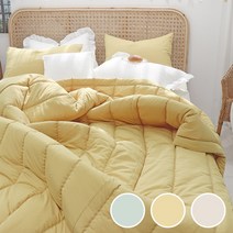 이즈베딩 플레인 고밀도 마이크로화이바 알러지케어 먼지없는 에어로워싱 간절기 차렵이불 (S/SS/Q/K)