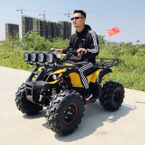 사륜오토바이 ATV 십대 및 성인용 2023 디자인 오프로드 베스트 125cc 250cc, 1.Little Bull