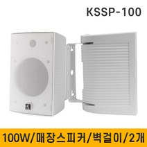 K-SORI KSSP100 100W 패션스피커 벽부형스피커 매장용 카페 커피숍 스피커 2개, 선택1:흰색스피커