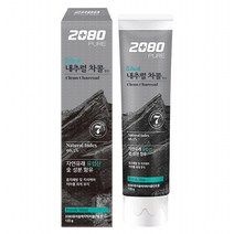2080 퓨어 블랙 차콜민트 치약, 120g, 1개