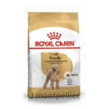 로얄캐닌 어덜트 푸들 강아지 사료 건식사료, 0 곡물, 500g, 1개