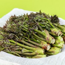 국산 두릅 150g, 4팩