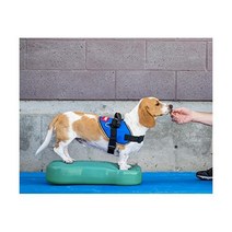 핏퍼즈 K9 핏 본 강아지 균형 근력 재활 코어 훈련 레귤러 아쿠아 블루 FitPAWS
