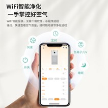 공기살균기 제습기공기청정기 미니 원룸 항알러지 Zhongjiaxiang 30D 공기 청정기 가정용 음이온 소독 및 청정 기계 포름알데히드 제거 간접 연기, [01] 표준 모델