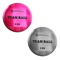 아이워너 체육대회 공굴리기 고급형120cm 팀볼 그레이, 단품