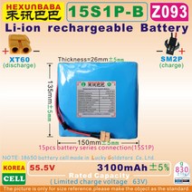 55.5V/54V 3100mAh / 172Wh; XT60/ SM2P; 나인봇 one C + 셀프 밸런스 외발 자전거 용 리튬 이온 배터리 팩, 한개옵션0