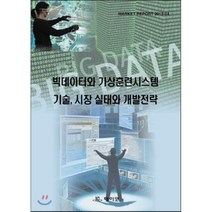 빅데이터와 가상훈련시스템 기술 시장 실태와 개발전략, 데이코산업연구소, 편집부 편