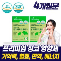 프리미엄 손발저림징코혈액순환제 식약청 혈관 혈행 개선제 보조제 뇌 기억력 머리 에 좋은 영양제 건강 기능 식품 은행잎 추출물 팔 손 끝 수족 차가움 떨림 경련 청소 작은 알 약, 혈액순환제 2박스 4개월+사은품