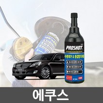 기타 에쿠스 자동차 수분제거 동결방지제 300ml 연료첨가제