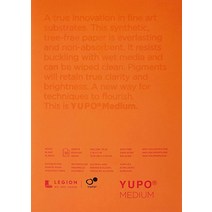 Legion Yupo 폴리프로필렌 패드 12.7 x 17.8cm(5 x 7인치) 미디엄 33.6kg(73파운드) 10장 (L21-YUP197WH57), 5-x-7-Inch