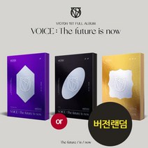 (케이스손상 새앨범 Now버전) 빅톤 Victon 1집 앨범 VOICE What I Said