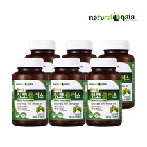 트리플 징코 플러스 X 6병 은행잎추출물 아연 B6 네추럴가이아, 60정 X 6병(12개월)