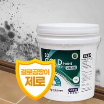 [이지골드] 결로제로 규조토 페인트 18L 친환경 실내 벽지 곰팡이 결로 방지 거실 베란다, 색상선택:아이보리H60