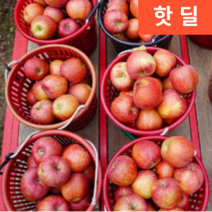 꿀맛 저농약 흠집 보조개 최상품 감흥 사과 꿀부사 10kg 20kg, 거의정품(흠집), 10kg 대 (25-28과내외)