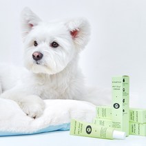스탬푸드 펫 릴리프 크림 강아지 고양이 발 습진 상처 피부염 보습크림 연고, 20g, 2개