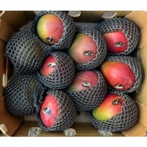항공직송 맛있는 페루산 애플망고 4kg 망고선물