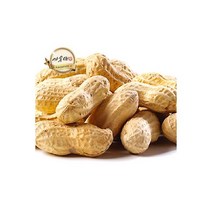 볶은 피땅콩 500g x2팩 볶음땅콩 부럼 땅콩 간식류 싸다몰2829998, 볶은 피땅콩 500g x2팩 / 볶음땅