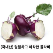 국내산) 신선한 콜라비 1통 3kg 5kg 10kg 국산 달달하고 아삭한 햇 콜라비 샐러드 자색채소 퍼플푸드