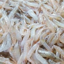 산지직송 김장용 인천 생새우 햇 동백하 김장새우 국산 1kg