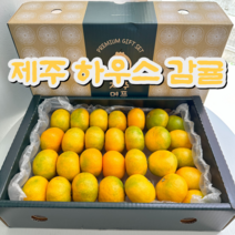 제주 하우스귤 고당도 감귤, 선물용(하우스귤), 5kg, 1개