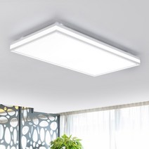 연하 LED 예그리나 거실2등 60W 삼성칩 주광색 플리커프리, 화이트