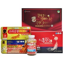 홍삼캡슐/인삼캡슐/오메가/절편/홍삼스틱(쇼핑백포함), 홍삼캡슐120캡슐