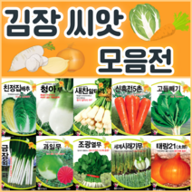 김장 채소 씨앗 모음 / 배추 무 당근 알타리 갓 엇갈이 양파 종자 씨, 1. 황금베타배추 500립 (김장용-항암)