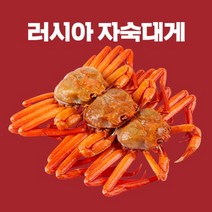 청춘홍게 일반 고급 3kg 5kg, 1마리, 1kg내외