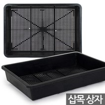 삽목상자 초화상자 1P - 육묘상자 포트상자 포트운반 모종운반 트레이 박스 삽목박스 초화박스 육모박스, 02_한성_삽목상자(1P)
