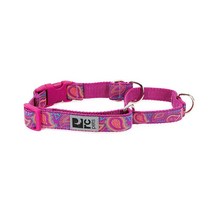 RC Pet ProductsRC Pets 2.5cm(1인치) 이지 클립 웹 마틴게일 훈련 개 목걸이 라지 밝은 페이즐리
