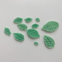 나뭇잎 12구 몰드
