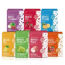 데이앤 콤부차 샤인머스켓 자두 파인애플 레몬 그린애플베리 복숭아 모로오렌지 [7종 70포], 1세트