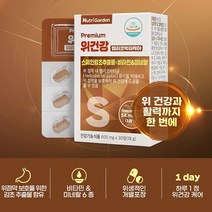 위에좋은영양제 위점막보호제 헬리코박터균 케어 스페인감초 추출물