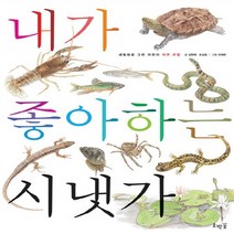 호박꽃 새책-스테이책터 [내가 좋아하는 시냇가] --세밀화로 그린 어린이 자연 관찰-호박꽃-김현태.손상호 글 이재은 그림-그림백, 내가 좋아하는 시냇가