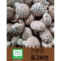 100% 산지직송 특품화고 생표고버섯 4kg 8kg 대용량표고버섯 급식용 식당용 건조용 가루용 양 많은 화고 표고버섯 고급형 특품 (농장직배송) 고급형 이유식 끝내주는 화고, 화고-1kg