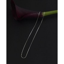 투데이풀 TODAYFUL Thin Necklace (Silver925) 12390902