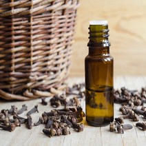 캔들마노 [ 에센셜오일 ] 클로브버드 Clove Bud E.O, 10ml