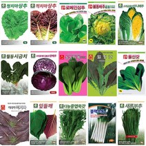 호미닷컴 엽채류 채소씨앗 - 김장씨앗 배추씨앗 무씨앗 야채씨앗 항암 수박무 나물 꽃 허브 잔디 쌈채소 씨앗, 엽채01. 청치마상추