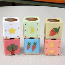 미니 사각 아이콘 다육화분 6종, 화분6종+랜덤다육6종추가