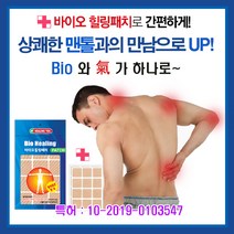 힐링유 바이오 힐링 패치, 48매, 1개