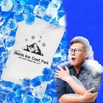 (국산) 시베리아 휴대용 아이스 펀치 쿨팩 10개 세트 냉찜질 타박상 얼음팩 쿨패치 물 얼음 주머니, 라운드 쿨팩 전용 스카프