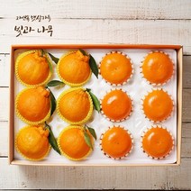 [1/17오전9시까지설전배송][빛과나무]프리미엄팩 제주한라봉.천혜향 5kg한라봉10입 천혜향10입+, 없음, 상세설명 참조