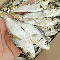 포항마트 깔끔한 육수의 비밀 베트남 디포리, 1개, 베트남디포리1.5kg