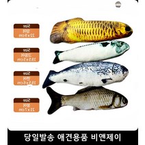 캣닢 고양이애착인형 고양이키울때 고양이용품샵 고양이키우는법 새끼고양이키우기 고양이소품